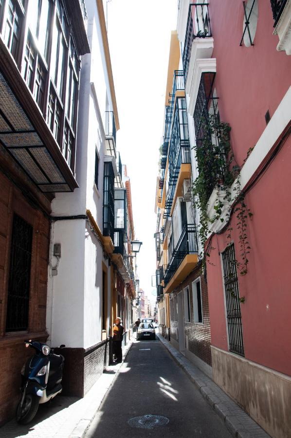 Apartamento Alohamundi Gavidia *